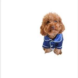 Silk pet pjs dog cat night clothes button up blue pajamas